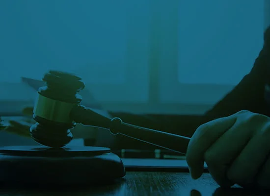 خدماتنا 2 Litigation
