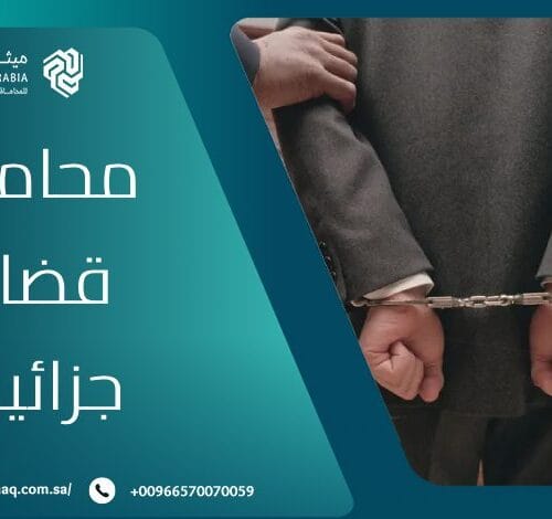 ما هي خدمات أفضل محامي قضايا جزائية في السعودية؟ 6 ما هي خدمات أفضل محامي قضايا جزائية في السعودية؟